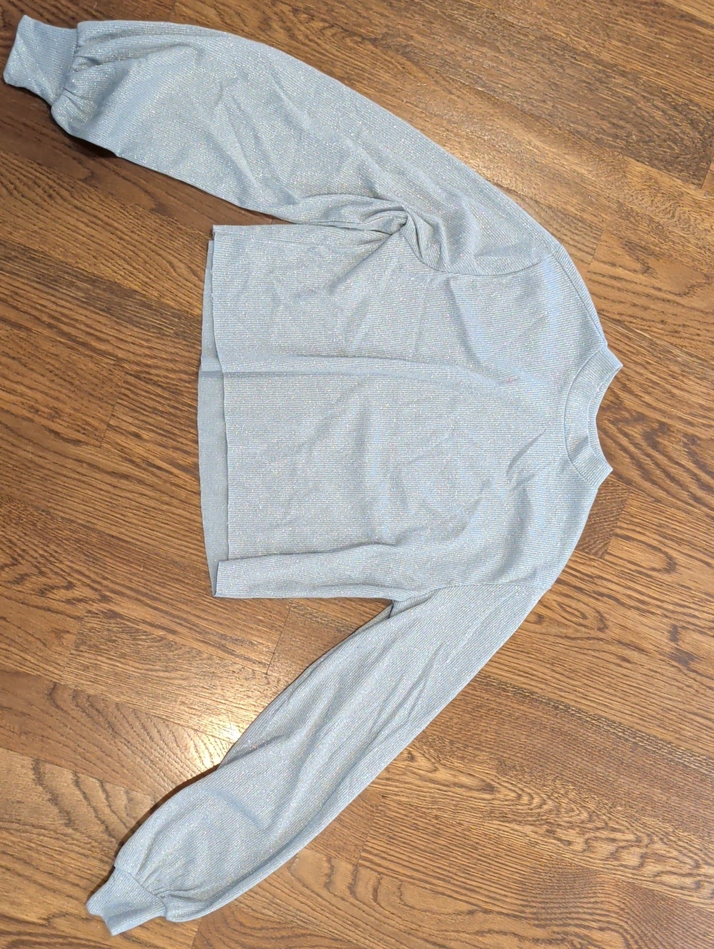 Beach Riot Light Blue Sparkle Crewneck Sweatshirt